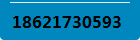 18621730593